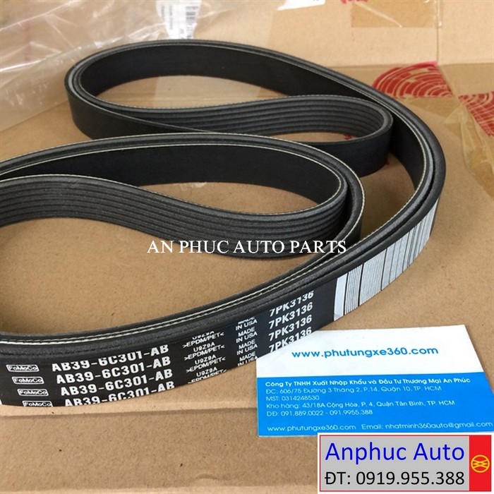curoa-tong-Ranger-AB396C301AB.jpg
